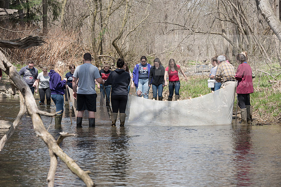 Biology Stream Clean Up - Canfield Preserve