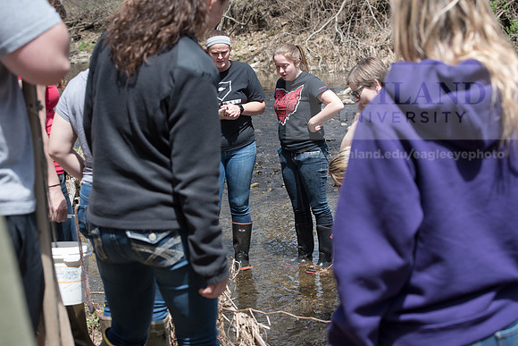Biology Stream Clean Up - Canfield Preserve