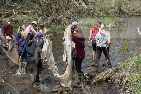 Biology Stream Clean Up - Canfield Preserve