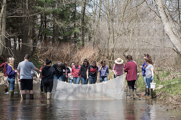 Biology Stream Clean Up - Canfield Preserve