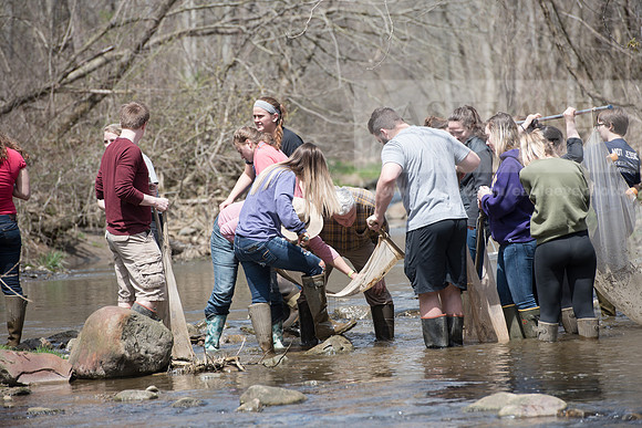 Biology Stream Clean Up - Canfield Preserve