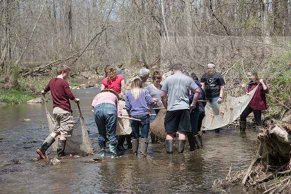 Biology Stream Clean Up - Canfield Preserve