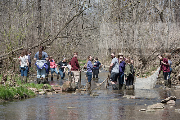 Biology Stream Clean Up - Canfield Preserve