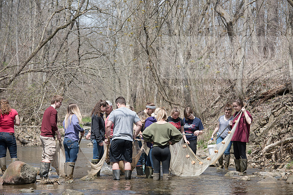Biology Stream Clean Up - Canfield Preserve