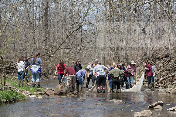 Biology Stream Clean Up - Canfield Preserve