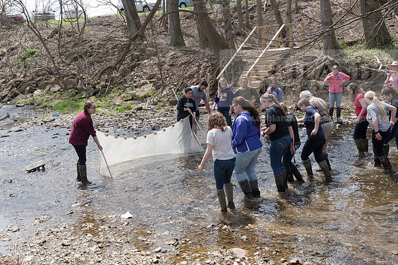 Biology Stream Clean Up - Canfield Preserve