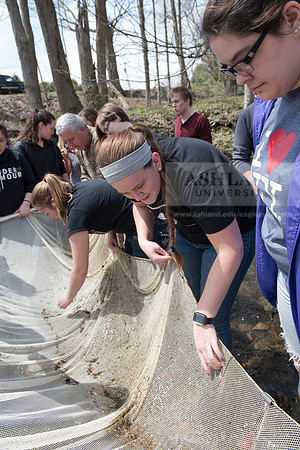Biology Stream Clean Up - Canfield Preserve