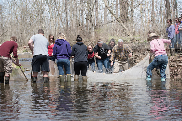 Biology Stream Clean Up - Canfield Preserve