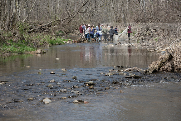 Biology Stream Clean Up - Canfield Preserve