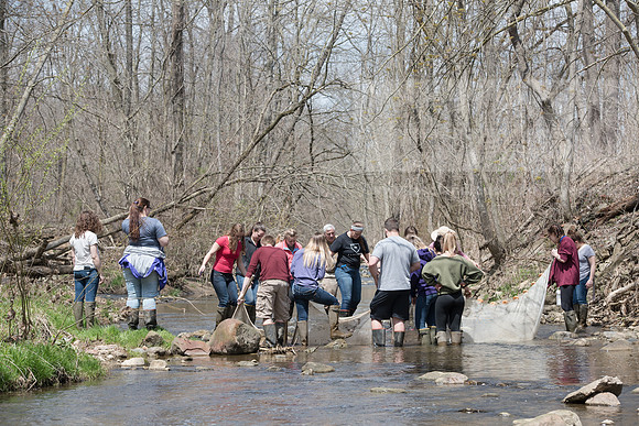 Biology Stream Clean Up - Canfield Preserve