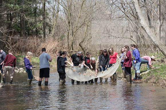 Biology Stream Clean Up - Canfield Preserve