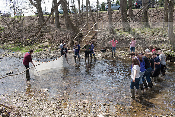 Biology Stream Clean Up - Canfield Preserve
