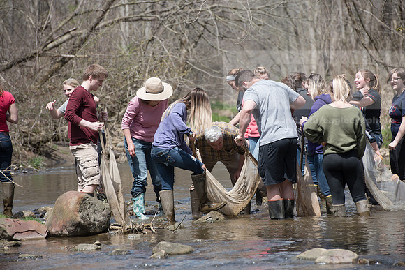 Biology Stream Clean Up - Canfield Preserve