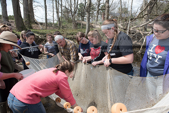 Biology Stream Clean Up - Canfield Preserve