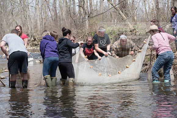 Biology Stream Clean Up - Canfield Preserve
