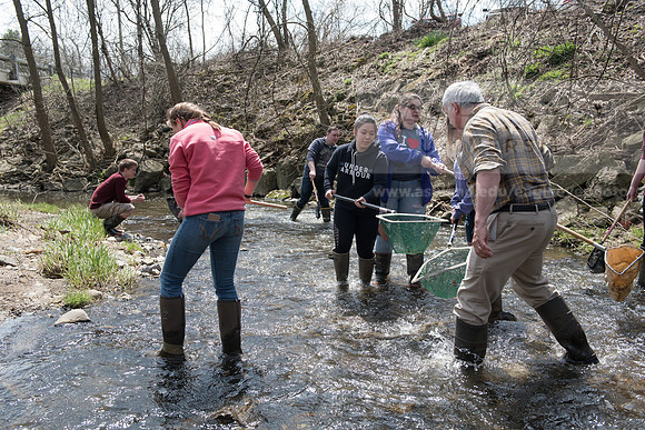 Biology Stream Clean Up - Canfield Preserve