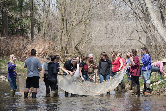 Biology Stream Clean Up - Canfield Preserve
