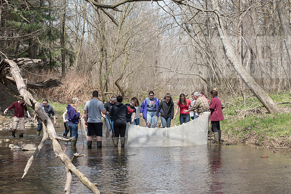 Biology Stream Clean Up - Canfield Preserve