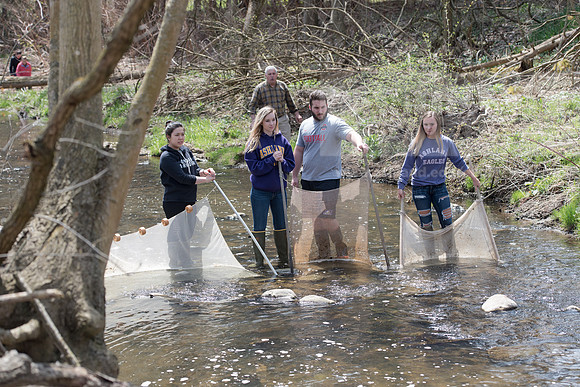 Biology Stream Clean Up - Canfield Preserve