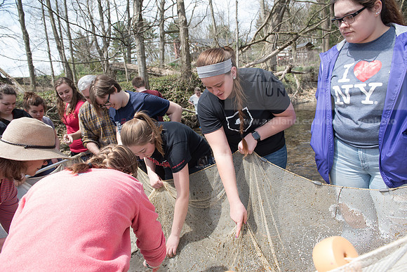 Biology Stream Clean Up - Canfield Preserve