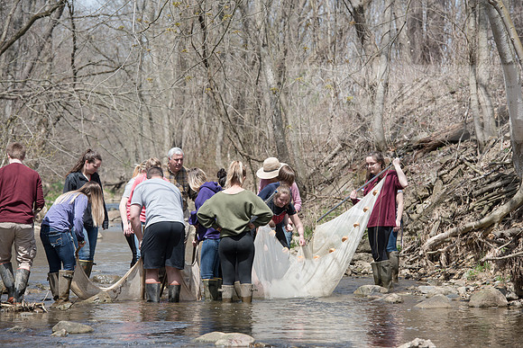 Biology Stream Clean Up - Canfield Preserve