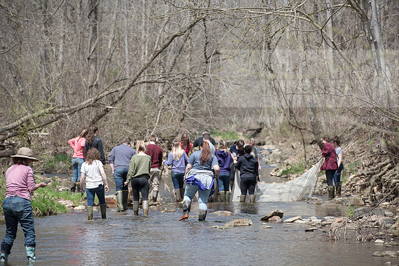 Biology Stream Clean Up - Canfield Preserve