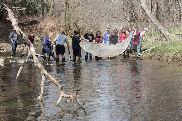 Biology Stream Clean Up - Canfield Preserve