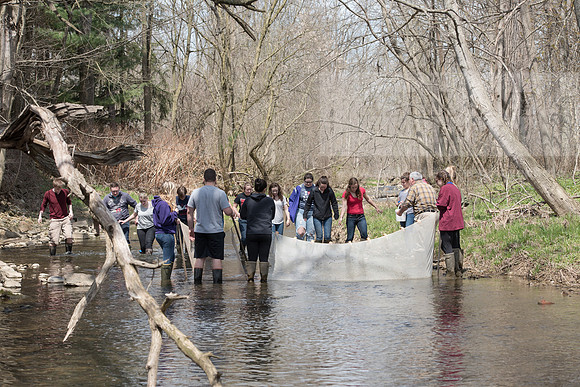 Biology Stream Clean Up - Canfield Preserve