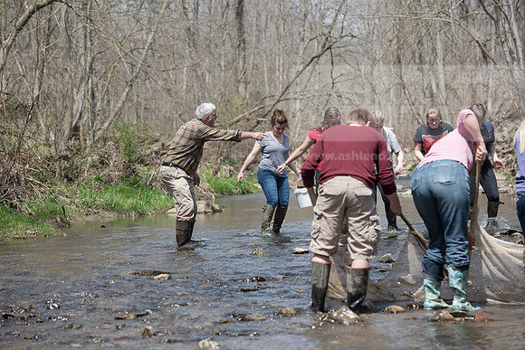 Biology Stream Clean Up - Canfield Preserve