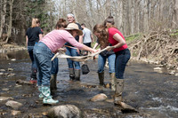 Biology Stream Clean Up - Canfield Preserve