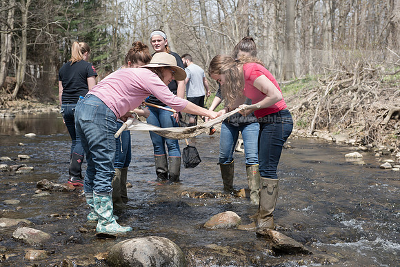 Biology Stream Clean Up - Canfield Preserve