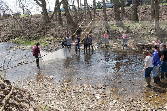 Biology Stream Clean Up - Canfield Preserve