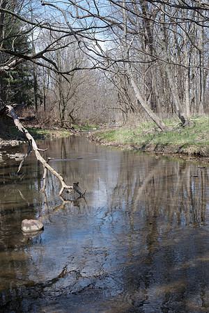 Biology Stream Clean Up - Canfield Preserve