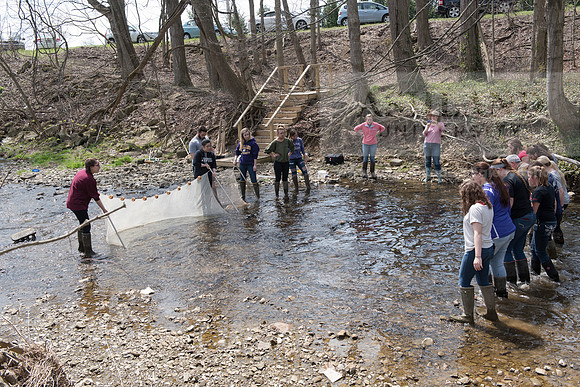 Biology Stream Clean Up - Canfield Preserve