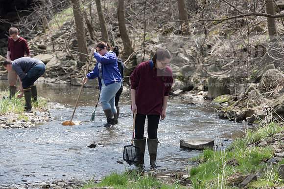 Biology Stream Clean Up - Canfield Preserve