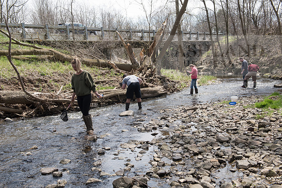 Biology Stream Clean Up - Canfield Preserve