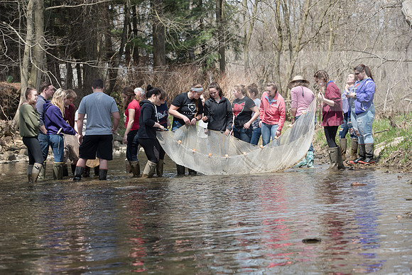 Biology Stream Clean Up - Canfield Preserve