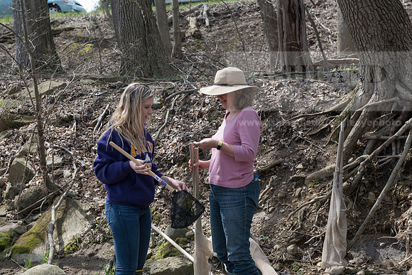 Biology Stream Clean Up - Canfield Preserve