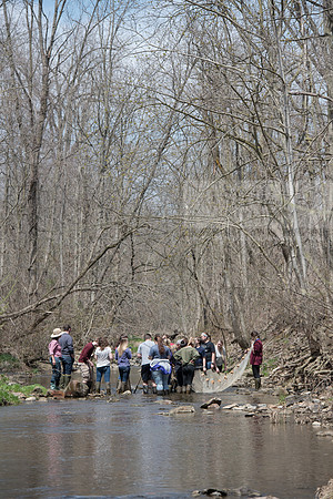 Biology Stream Clean Up - Canfield Preserve