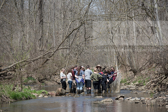 Biology Stream Clean Up - Canfield Preserve