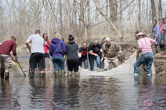 Biology Stream Clean Up - Canfield Preserve