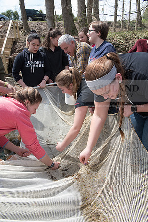 Biology Stream Clean Up - Canfield Preserve