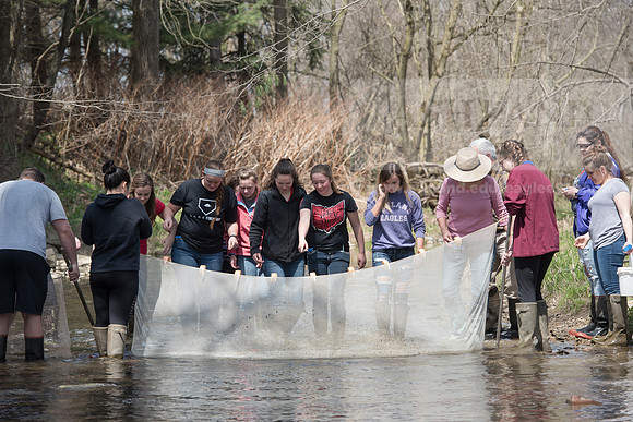 Biology Stream Clean Up - Canfield Preserve