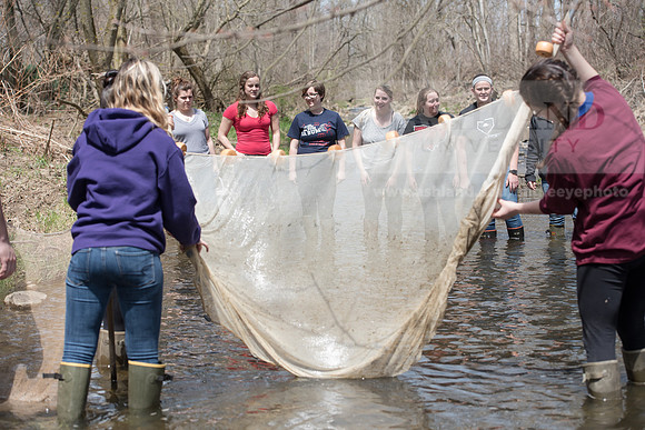 Biology Stream Clean Up - Canfield Preserve