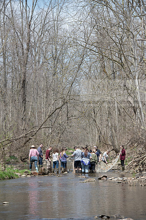 Biology Stream Clean Up - Canfield Preserve