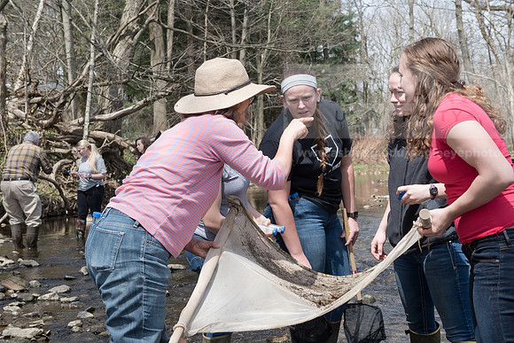 Biology Stream Clean Up - Canfield Preserve