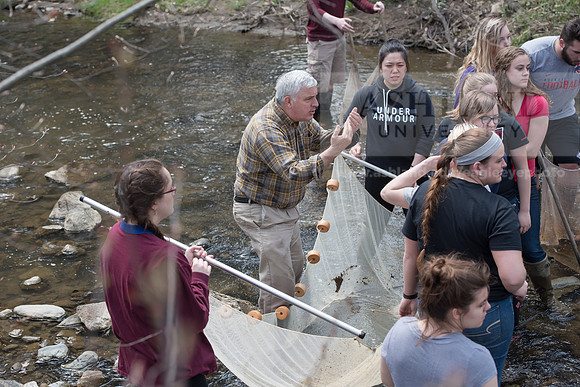 Biology Stream Clean Up - Canfield Preserve