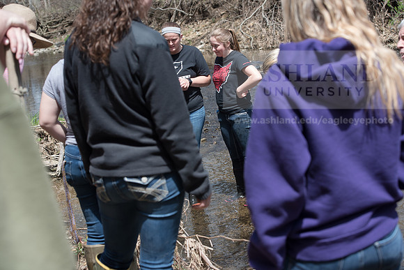 Biology Stream Clean Up - Canfield Preserve