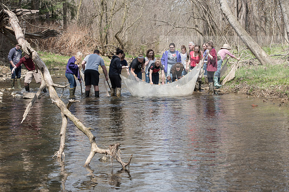 Biology Stream Clean Up - Canfield Preserve