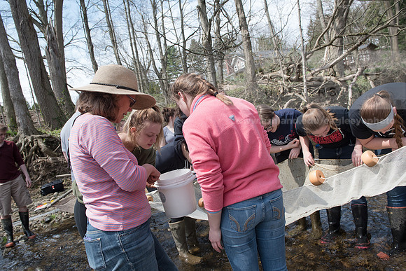 Biology Stream Clean Up - Canfield Preserve